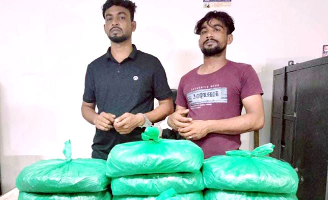 ১০ কেজি গাঁজাসহ ২ মাদক কারবারি গ্রেফতার